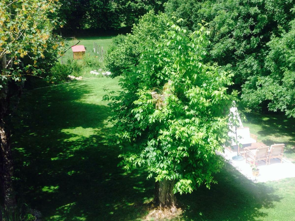 Le Fagnard Bed & Breakfast Chalais  Exterior foto