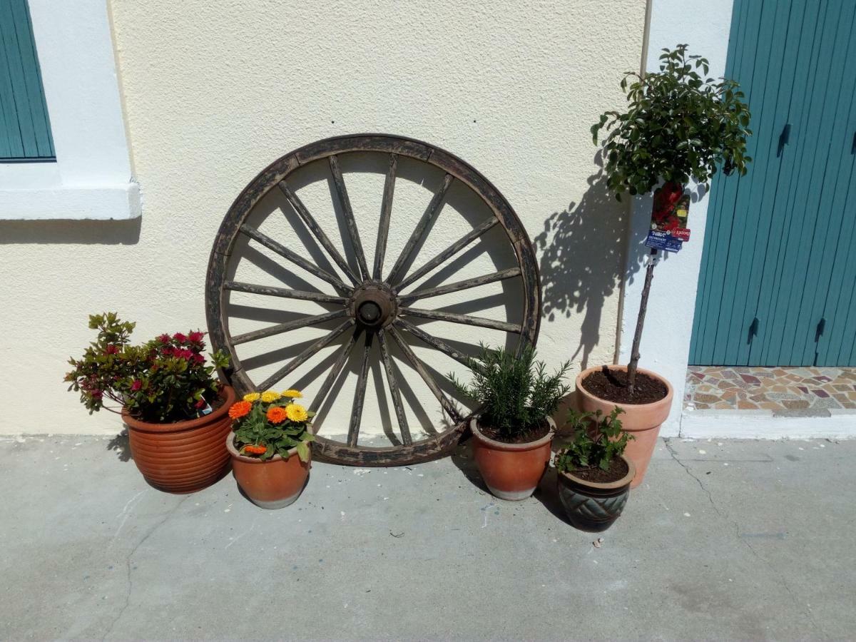 Le Fagnard Bed & Breakfast Chalais  Exterior foto