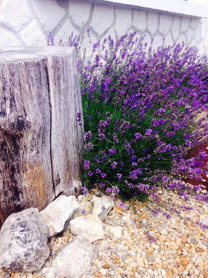 Le Fagnard Bed & Breakfast Chalais  Exterior foto